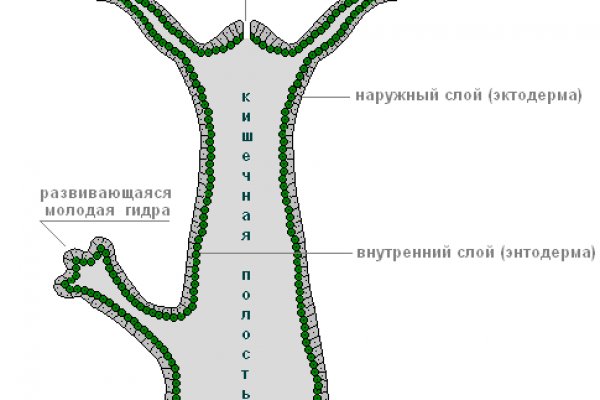 Ссылки на кракен мегу