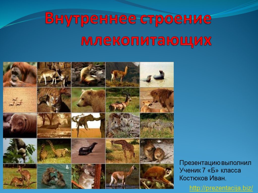 Как войти на кракен